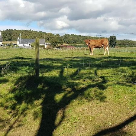 Cosy 2 Bedroom Croft Cottage With Beautiful Views North Kessock Εξωτερικό φωτογραφία