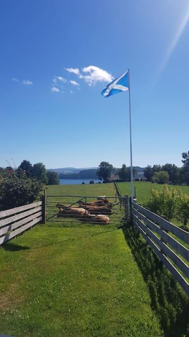 Cosy 2 Bedroom Croft Cottage With Beautiful Views North Kessock Εξωτερικό φωτογραφία
